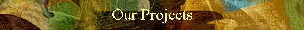 Our Projects