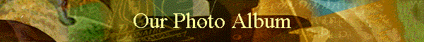 Our Photo Album